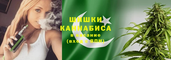 гидра Арсеньев