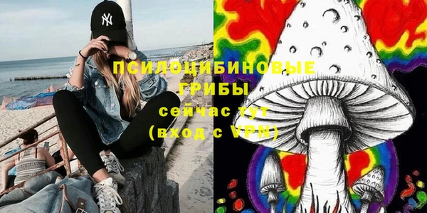 дживик Балахна