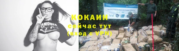 дживик Балахна