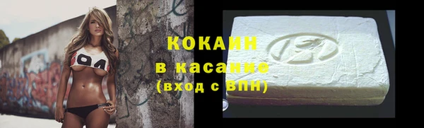 гидра Арсеньев