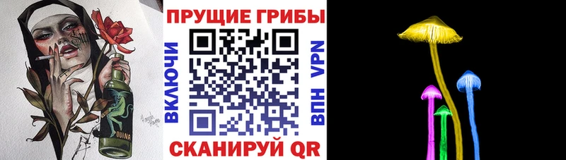 Галлюциногенные грибы Psilocybe  Белая Калитва 